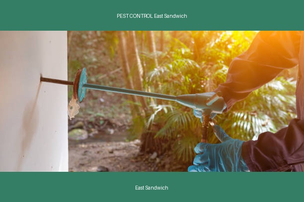 PEST CONTROL East Sandwich